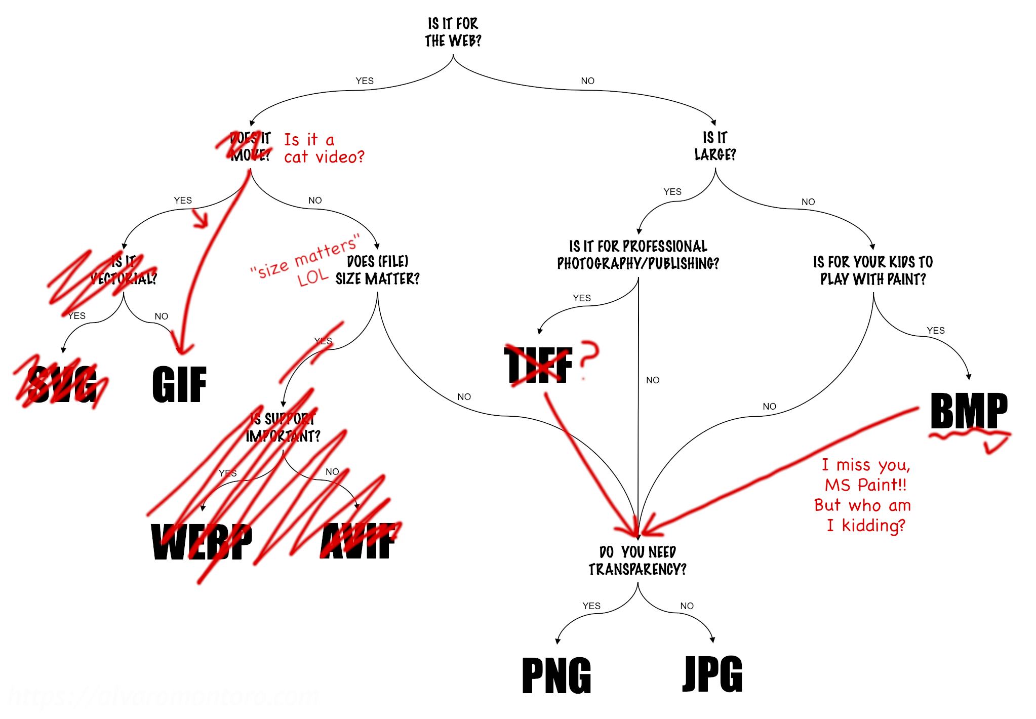Same flowchart as above, but all the formats are scratched except for GIF, JPG, and PNG. There's a line from BMP to JPG/PNG saying "I love you MSPaint, but who am I kidding?". The question "does it move?" was replaced by "is it a cat video?" and all the paths except that one direct to PNG/JPG