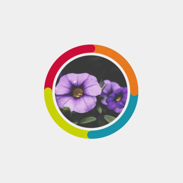 picture of a flower in a circular frame