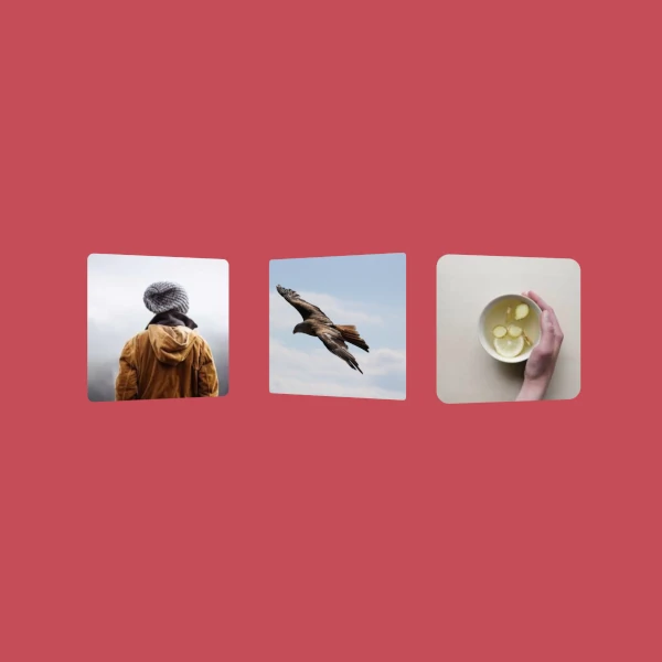 photos in different angles