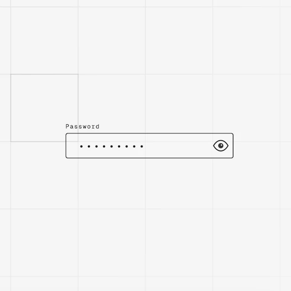 a password input form