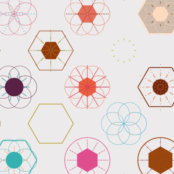 hexagonal patterns that look like crystals or snowflakes