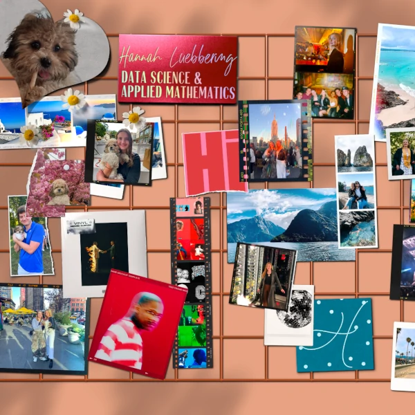 A mood board