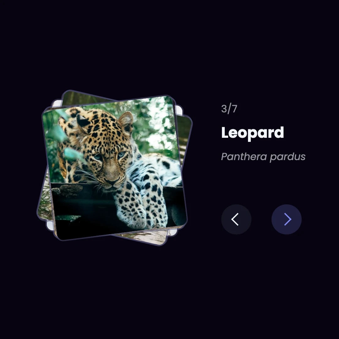 screenshot of a web component with pictures stacked and arrows to move