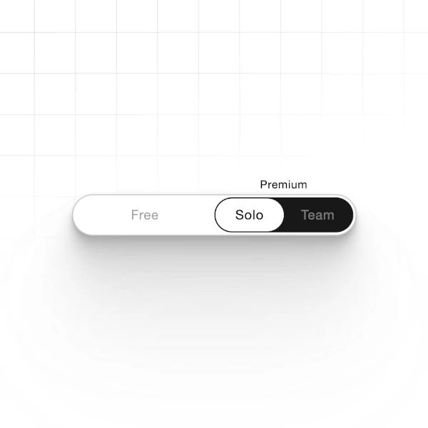 A toggle selector with 3 options