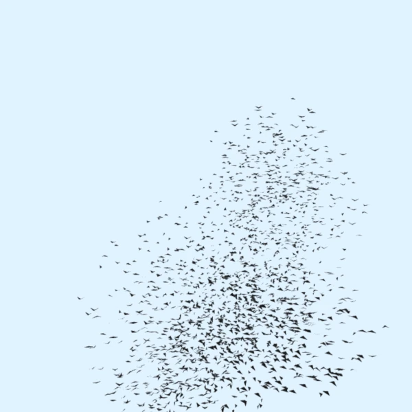 Illustration of a flock of birds